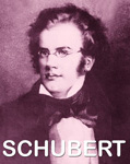 New GENIUS Biography: FRANZ SCHUBERT (1797-1828)! FRANZ SCHUBERT was the quintessential Romantic composer/starving artist who composed hundreds of songs for voice and piano, nine symphonies including the famous "UNFINISHED SYMPHONY", died in poverty and managed to get buried next to his hero BEETHOVEN, all by the age of 31!