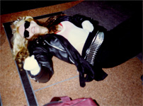 GODDESS GREAT KAT RELAXING after SHREDDING during "BEETHOVEN ON SPEED" RECORDING!