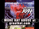 The Great Kats DIGITAL BEETHOVEN ON CYBERSPEED CD-ROM/CD NEW VIDEO: Your DAILY DOSE of KAT ABUSE: What an inferior idiot!  Watch The Great Kats INSULTS hurl!