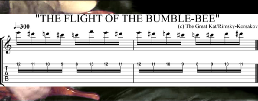 THE GREAT KAT GUITAR SHREDDING/TABLATURE/MUSIC NOTATION PHOTOS from "THE FLIGHT OF THE BUMBLE-BEE"!