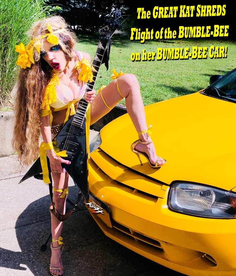The GREAT KAT SHREDS FLIGHT of the BUMBLEBEE on her BUMBLE-BEE CAR! 