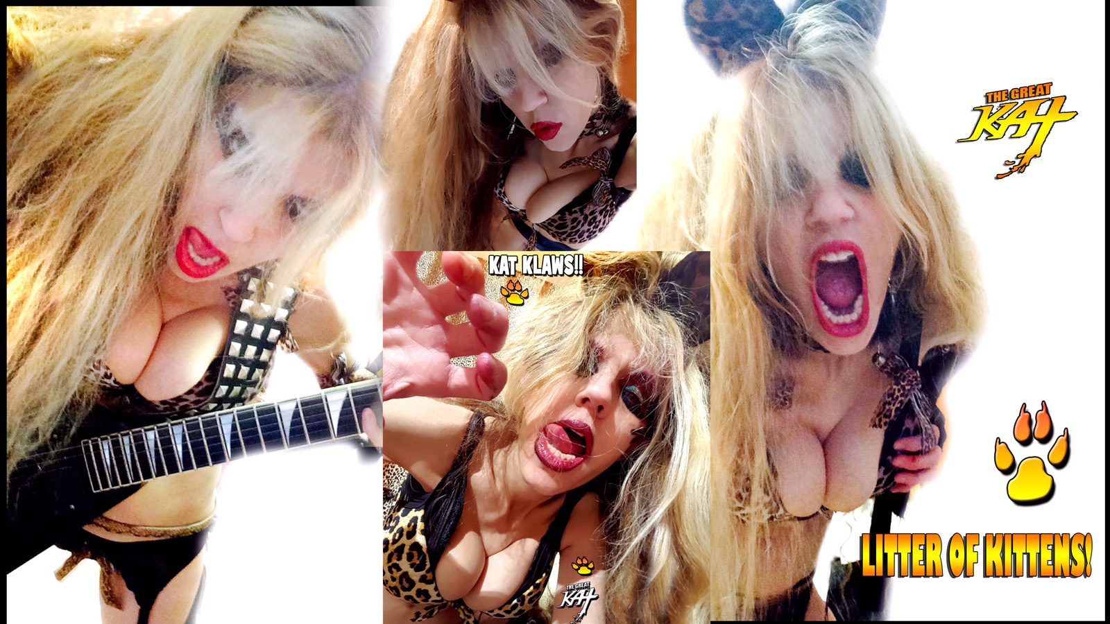 THE GREAT KAT'S "TOP 20 HOT SHRED HOLIDAYS!" LITTER of KITTENS!! From The Great Kat's NEW DVD!!!